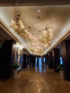 Royal Sonesta Houston Galleria place picture