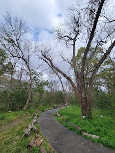 Russ Pitman Park place picture