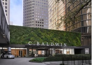 C. Baldwin, Curio Collection by Hilton place picture