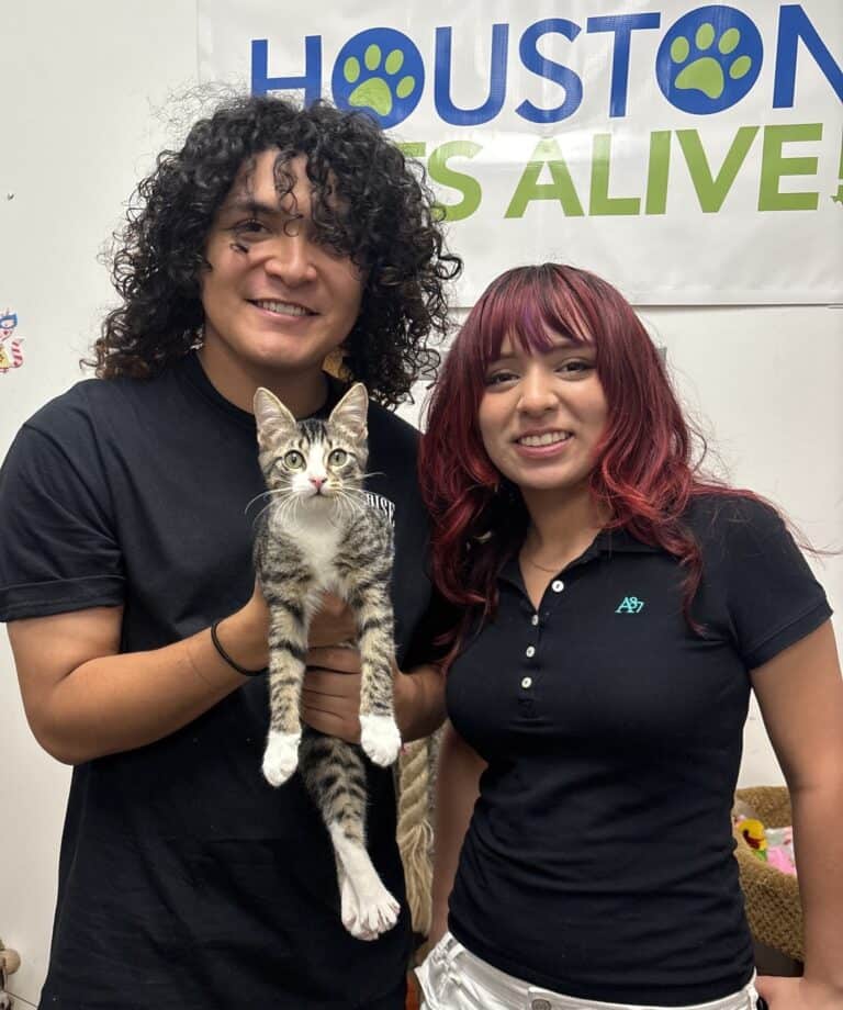 Houston Pets Alive