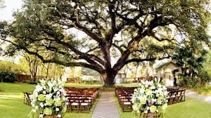 Oak Tree Manor place picture