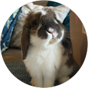 Elise Rehfuss profile picture