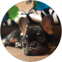 Marco profile picture